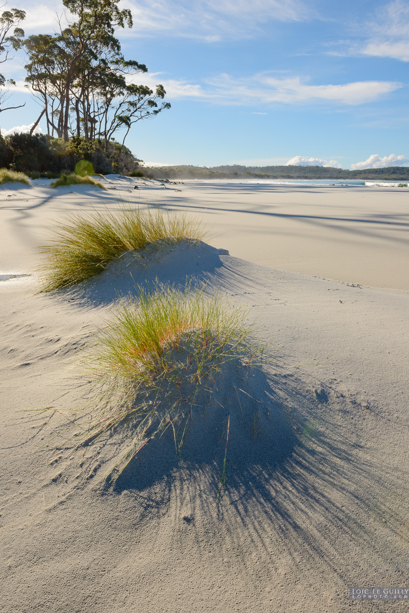 photograph of Recherche Bay